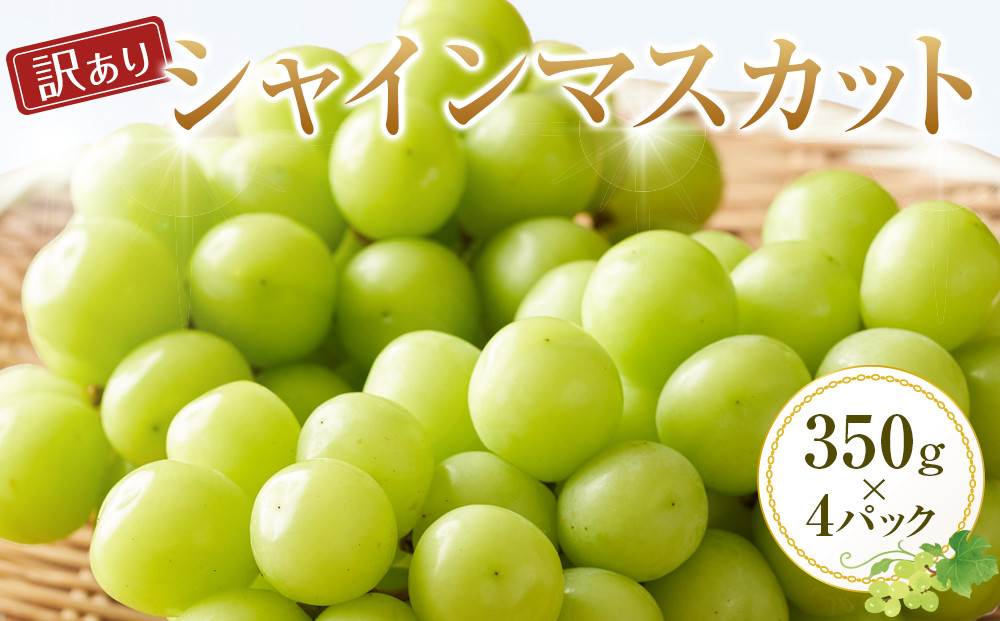 929.【訳あり】シャインマスカット 350g×4パック ≪果物 フルーツ くだもの≫　※2025年8月下旬頃～9月下旬頃に順次発送予定 313726_AN007