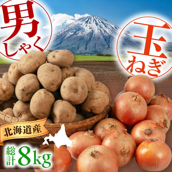 【ふるさと納税】先行予約 男爵芋・玉ねぎセット 8kg ( 男爵芋 5kg 玉ねぎ 3kg ) 《喜茂別町》【Aコープようてい】 じゃがいも ジャガイモ 玉ねぎ 男爵芋 季節の野菜 産地直送 [AJAK034] 7000 7000円 7千円