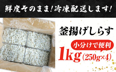 鮮度抜群＆水分率80％!ふわふわ釜揚げしらす 1kg 冷凍 シラス 鮮魚 ギフト 海鮮丼 広島県 江田島/三島水産株式会社[XCN001]