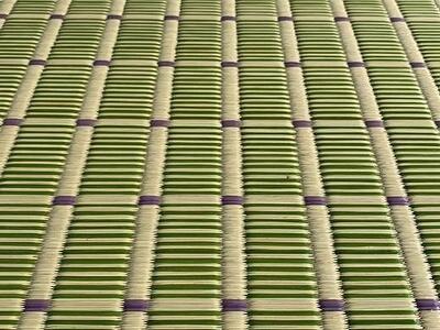 国産い草 掛川織ラグ 伊吹 グリーン 191×191