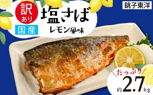訳あり 国産 塩さば レモン風味 約2.7kg 鯖 さば 塩鯖 フィーレ フィレ 国内産 味付き 味付け 魚介類 魚 魚貝 魚介 海鮮 水産 人気 冷凍 大容量 小分け 冷凍食品 おつまみ 酒 さけ おかず 惣菜 弁当 不揃い 規格外 訳アリ 訳有 傷 グルメ お取り寄せ 贈答 贈物 プレゼント 贈り物 長期保存 ギフト 小分け ふるさと納税 ふるさと納税鯖 送料無料 千葉県 銚子市 銚子東洋