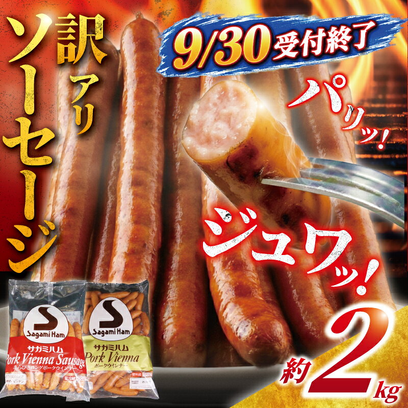 【ふるさと納税】 訳あり ソーセージ 計 2kg (1kg × 2) 肉 豚肉 ウィンナー 9月30日受付終了 ウインナー そーせーじ うぃんなー スパイス お肉 あらびき 冷蔵 お肉 弁当 おかず バーベキュー 10000円 不揃い 訳あり品 ボロニア ウインナーソーセージ 神奈川 湘南 藤沢