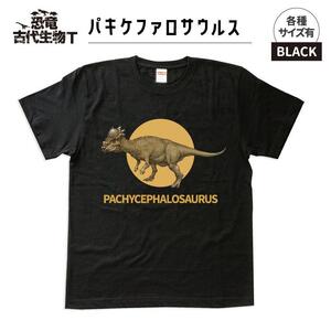 恐竜・古代生物Tシャツ　パキケファロサウルス 036　サイズＳ（レギュラー）