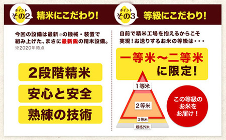 令和6年産 森のくまさん 無洗米 5kg 5kg×1袋 計6回お届け 《お申し込み月の翌月から出荷開始》 お米 こめ 熊本県産 ご飯 備蓄