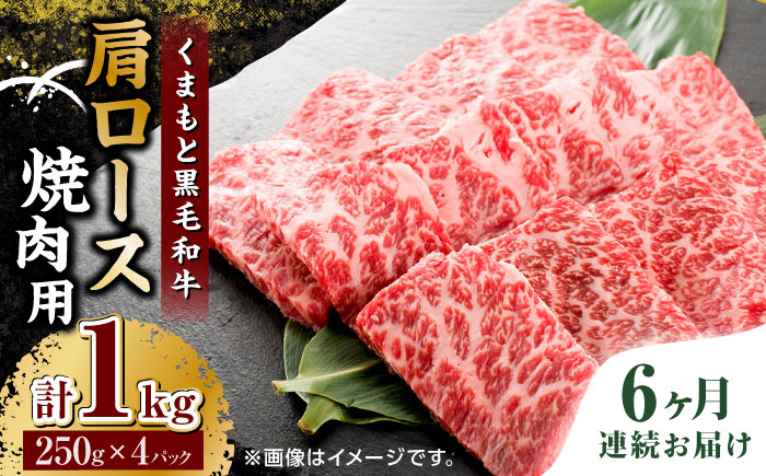 
【6回定期便】くまもと黒毛和牛 焼肉用 肩ロース 1000g（250g×4pc）【馬刺しの郷 民守】 熊本県産 九州産 和牛 お肉 肉 バラ 黒毛和牛 [ZBL093]
