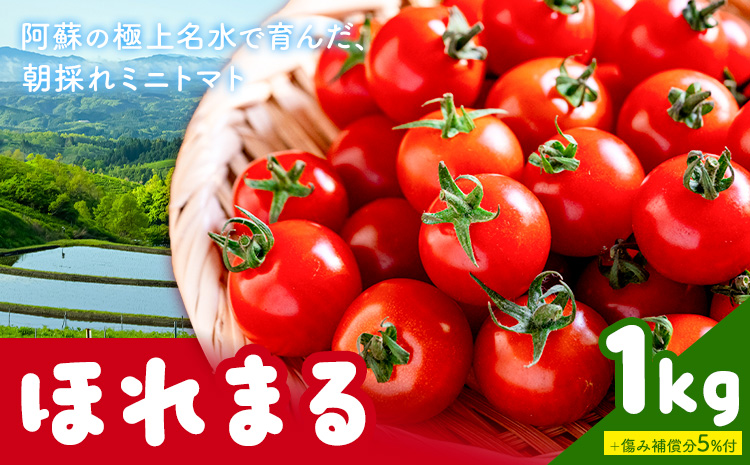 ミニトマト ほれまる 約1kg 熊貴農園《7月上旬-11月上旬出荷》熊本県 阿蘇郡 産山村 ミニトマト トマト とまと 野菜 やさい プチトマト
