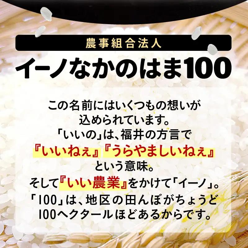 【先行予約】【令和8年産】ハナエチゼン 精米 5kg（農事組合法人イーノなかのはま100）お米 ※2026年10月より順次発送予定 [aw139-a001]