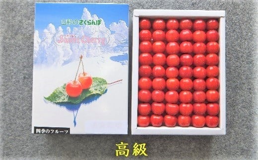 さくらんぼ（佐藤錦）５００ｇ　手詰め　0056-2605