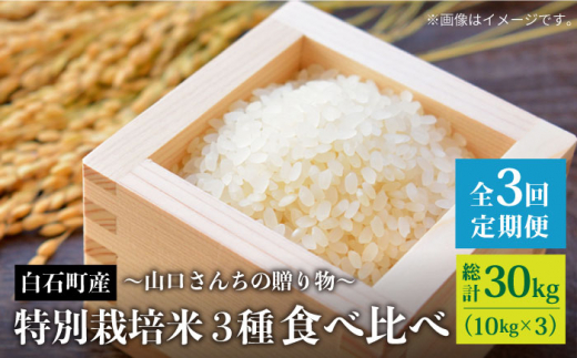 【令和8年1月以降発送】【全3回】特別栽培米 3種 食べ比べ 定期便 各回 10kg～山口さんちの贈り物 ～【y'scompany】佐賀県産 特別栽培米 米 お米 人気 高評価 九州 佐賀県 白石町 [IAS015]