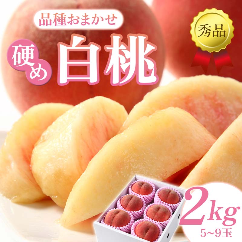 【ふるさと納税】 【先行予約（2026年9月より順次発送）】硬め白桃 約2kg（5玉～9玉）秀品 FSY-2532