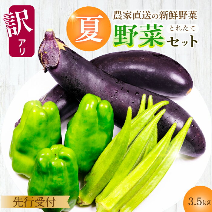 【ふるさと納税】【期間限定】《訳あり》みのる農園 農家直送！夏野菜セット(ピーマン、ナス、オクラ)3.5kg やさい 詰合せ BBQ 広島県三原市 206003