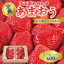 【ふるさと納税】【2025年1月～4月納品分予約販売】ご家族での味見にもOK！お手軽2パックセット！大玉詰め合わせ 600g | 福岡県 大川市 福岡県大川市 ふるさと 納税 食べ物 取り寄せ お取り寄せ グルメ ご当地 あまおう いちご イチゴ 苺