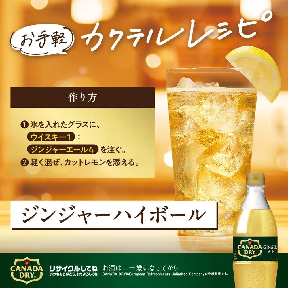 カナダドライ ジンジャーエール 500mlPET×24本×2箱　【11100-0570】リフレッシュ 炭酸飲料 ケース 箱買い まとめ買い 備蓄 飲料 ソフトドリンク ギフト ふるさと納税 さいたま市
