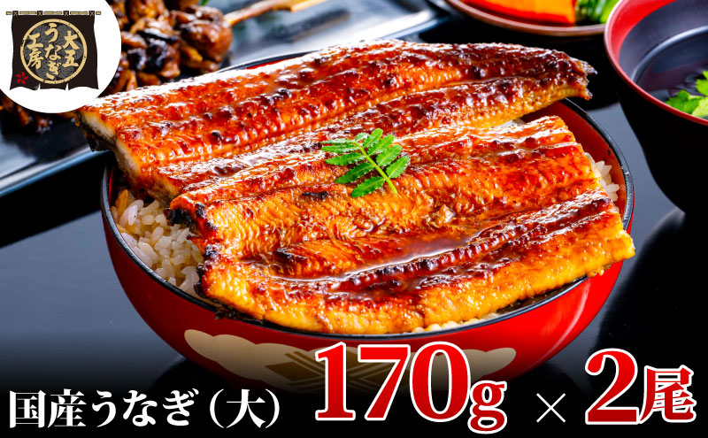 【期間限定9月30日までの特別価格！】うなぎ蒲焼 170g×2尾(340g) うなぎ ウナギ 鰻 蒲焼 蒲焼き冷凍 国産 大五 大五通商 静岡 島田市