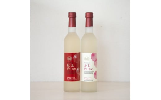 りんごワイン2本セット ふじ＆紅玉