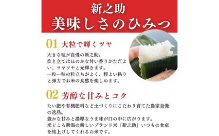 令和7年産『新之助』2kg 米・食味鑑定士お墨付き 家族みんなで愛情かけて育てた米 新潟県糸魚川産 2025年 しんのすけ 白米 百姓や伝六【米 お米 こめ 食品 人気 おすすめ ギフト 新潟県の新し