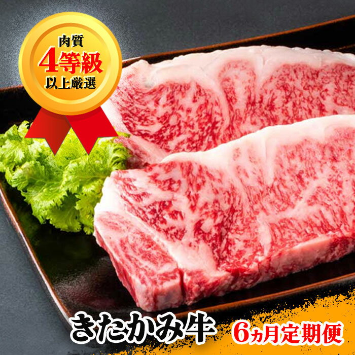 【ふるさと納税】きたかみ牛 【 定期便 / 6か月 】せいぶ農産 4等級以上 国産 黒毛和牛 牛肉 サーロイン 切り落とし 牛タン リブロース 牛 カルビ すき焼き 冷凍 焼肉 お肉 定期 BBQ 年末 年始 西部開発農産 岩手県 北上市 Q0239