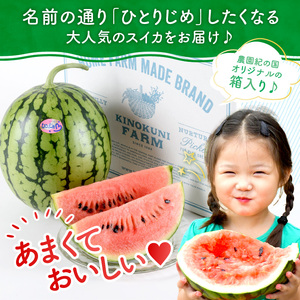 【0750-4】自農園産　紅小玉スイカ「ひとりじめ」2～3玉≪先行予約≫2026年6月中旬から順次発送【配送不可地域：北海道・青森・秋田・岩手・沖縄・離島】