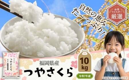 【令和7年産】福岡県産つやさくら 10kg 岡垣町ふるさと納税返礼品  米 コメ こめ お米 精米