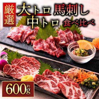 ふるさと納税 阿蘇市 【熊本　と畜】霜降り馬刺しの食べ比べ約600g 大トロ馬刺し・中トロ馬刺し各約300g(阿蘇市)