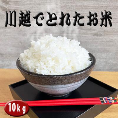 ふるさと納税 川越市 川越でとれたお米　10kg