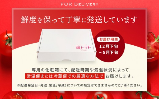 出雲の國からの贈り物～トマトを超えた超トマト1kg 【トマト とまと 野菜 やさい 新鮮 産地直送 贈答 出雲 出雲市 おすすめ 人気】