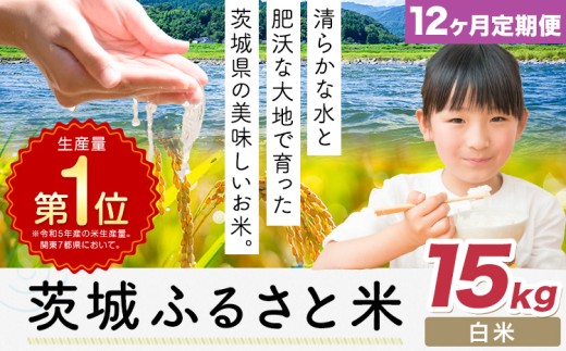 【12ヶ月定期便】米 茨城 ふるさと米 白米 15kg《申込月の翌月より出荷開始》茨城県 河内町 米 国産 お米 おこめ お弁当 おにぎり