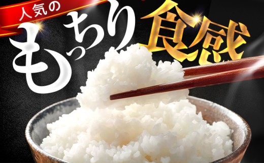 【6月発送】小浜市産コシヒカリ 精米 10kg 若狭の自然が育てたごはん 国産米 福井県 / 白米  地域密着 米問屋 小浜市 / 梅田東米穀店 [BFEK007]