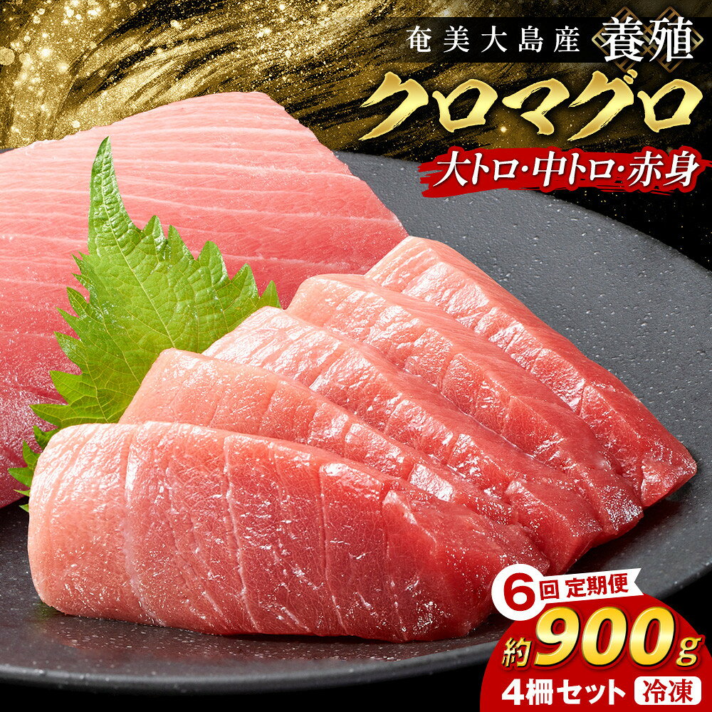 【ふるさと納税】【6回定期便】奄美大島産養殖クロマグロ 4柵セット 900g以上