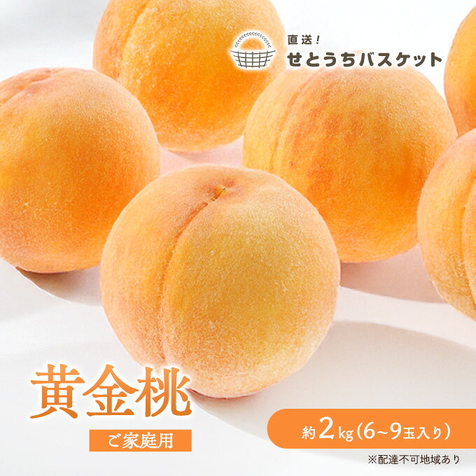 【ふるさと納税】桃 2027年 先行予約 岡山 黄金桃 ご家庭用 約2kg 6～9玉入り もも モモ 岡山県産 国産 フルーツ 果物 直送！せとうちバスケット スイーツ こだわり 特産品 白い 香り 果汁 シーズン 濃厚　お届け：2027年8月下旬～2027年9月上旬
