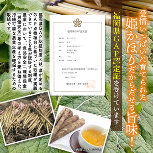 「姫かほり」 ごぼう茶 ティーバッグ & 焙煎ごぼう茶 粉末タイプ_K04103