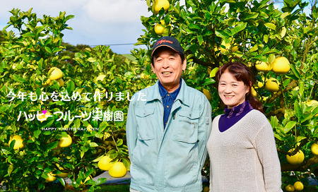 ハッピーフルーツ果樹園の土佐文旦5kg家庭用