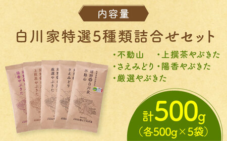 白川家特選5種類詰合せセット 計500g / お茶 日本茶 嬉野茶 緑茶 / 佐賀県 / 白川製茶園[41AIAB001]