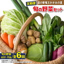 【ふるさと納税】 定期便 6回 野菜 セット 12品 ~ 15品 野菜ソムリエ 厳選 野菜 定期便 6ヶ月 旬 新鮮 やさい たっぷり 道の駅 竜王かがみの里 滋賀県 竜王町