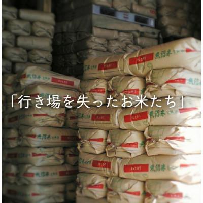ふるさと納税 南魚沼市 【令和7年産】南魚沼産コシヒカリ精米10kg　訳あり |  | 01