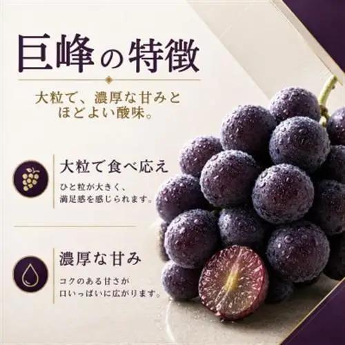 農家直送 巨峰 4～6房 2kg 種あり【2026年発送】茨城県 かすみがうら市【配送不可地域：離島・沖縄県】【1732413】