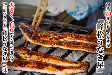  うなぎの蒲焼１尾入り 180～200g 大型サイズ 鰻 ウナギ 蒲焼き タレ付き 密封パック入りうなぎ 佐賀県 鹿島市 冷蔵うなぎ　B-14