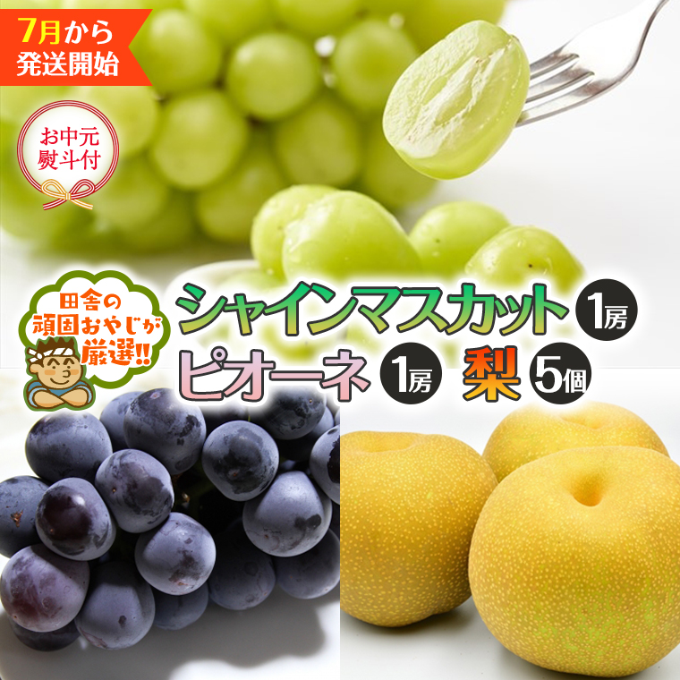 【お中元 熨斗付】 シャインマスカット １房 ピオーネ １房 梨 5個 【令和6年7月より発送開始】 田舎の頑固おやじが厳選！ シャインマスカット マスカット 種なし ぶどう ブドウ 葡萄 ピオーネ 梨 お中元 ギフト 高糖度 大粒 [BI320-NT]