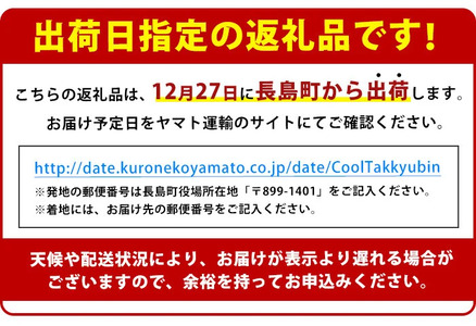 ＜2024年12月27日発送予定＞ボンタンぶりまるごと一本(内臓処理済) ぶり 柵 刺身 ブリ 切り身 鰤 1本 鮮魚 下処理済み 鮮魚 1匹 刺身 ぶりしゃぶ ぶりかま 【鶴長水産】turu-607