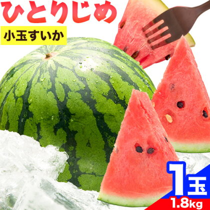 【ふるさと納税】紀州和歌山産 小玉スイカ 「ひとりじめ」 1玉 魚鶴商店《6月上旬-7月上旬頃出荷》 和歌山県 日高川町 スイカ スイーツ フルーツ