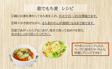No.174 もち麦9.6kg（1.2kg×8個セット） 隔月定期便3回