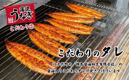 【 母の日ギフト 】【化粧箱入り】【 訳アリ 】 国産うなぎ 蒲焼き 3尾 セット ( 380g ) 大きさ の不揃い 山椒付き ウナギ 鰻 ふぞろい 不揃い うな重 ひつまぶし 人気 茨城 八千代町