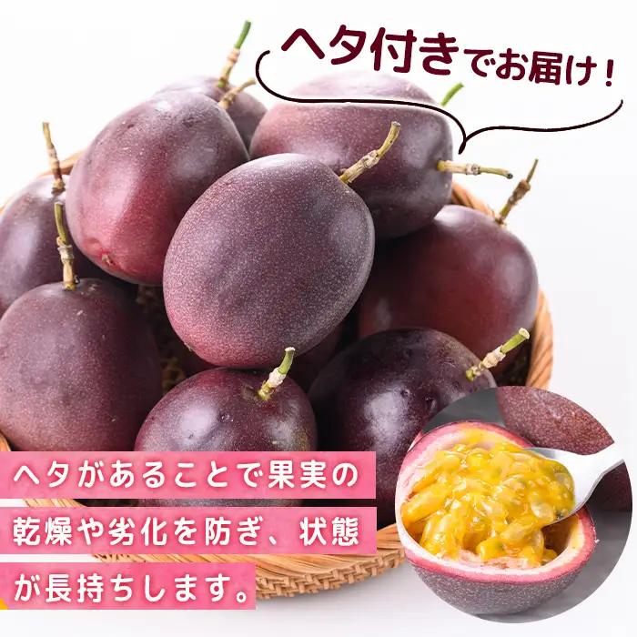 【D99001】パッションフルーツ ロケットスター 約6kg 鹿児島県産 産地直送【グリーンファースト】