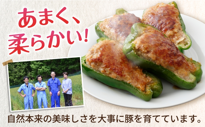 豚肉 ミンチ肉 豚ひき肉 ひき肉 豚ミンチ 挽肉 豚挽き肉 大容量 冷凍 国産 パラパラ 岐阜県 白川町