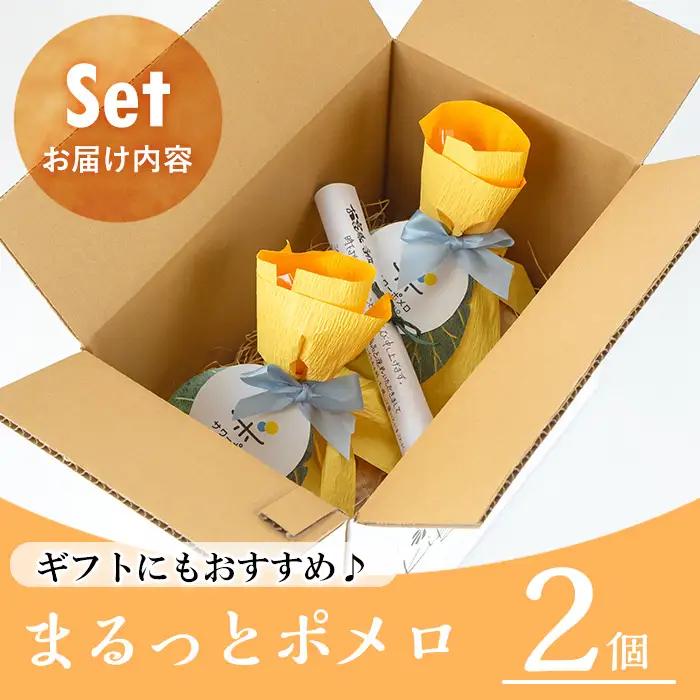 【お中元】 バウムクーヘン まるっとポメロ 2個（約380g×2個）鹿児島県産 サワーポメロ バウムクーヘン【00-014-07-R8OC】