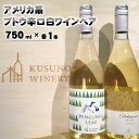 【ふるさと納税】アメリカ系ブドウ辛口白ワインペア（ペンギンズリープ＆デラウェア）750ml×各1本《楠わいなりー》 ワイン お酒 洋酒 ぶどう 葡萄 ブドウ