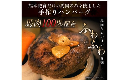 手作りハン馬ーグ 《30日以内に出荷予定(土日祝除く)》 100g×10個 馬肉100%配合！【熊本肥育】---gkt_fkgumburg_30d_23_12000_10k---