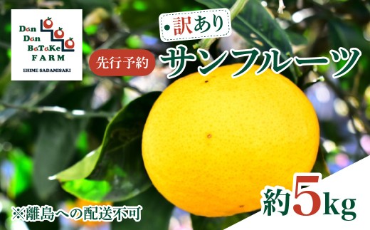 【先行予約】【訳あり】新甘夏 サンフルーツ 約5kg ※離島への配送不可　※2027年3月中旬より順次発送予定  【ふるさと納税 人気 おすすめ ランキング 柑橘 みかん サンフルーツ 5kg 果物 フルーツ 訳あり 果物 くだもの 旬 愛媛県産 愛媛みかん Dan Dan BaTaKe FARM 産地直送 愛媛県 伊方町 送料無料】 IKTAU017