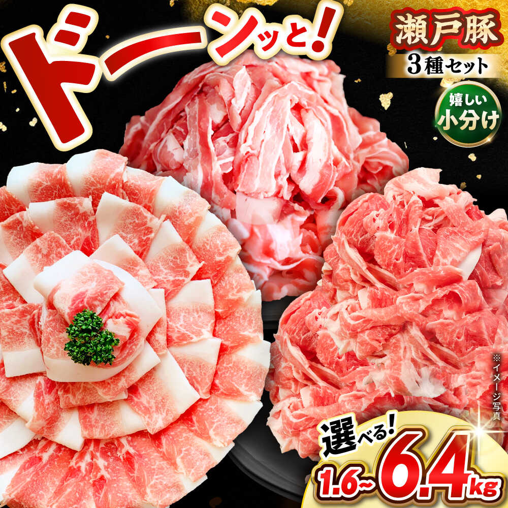 【ふるさと納税】【選べる容量】瀬戸豚 豚肉 3種セット / 豚肉 小分け 冷凍 便利 / 瀬戸市 / 関屋精肉店[BBBQ009]