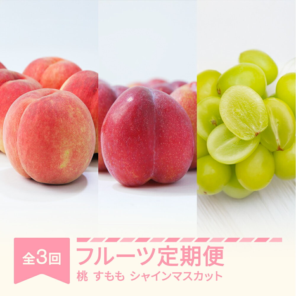 【ふるさと納税】【先行予約】フルーツ定期便 全3回 白桃 すもも シャインマスカット 秀品 2025年産 令和7年産 送料無料 ※沖縄・離島への配送不可 sb-fthps3